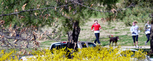 Devnis Run photo.