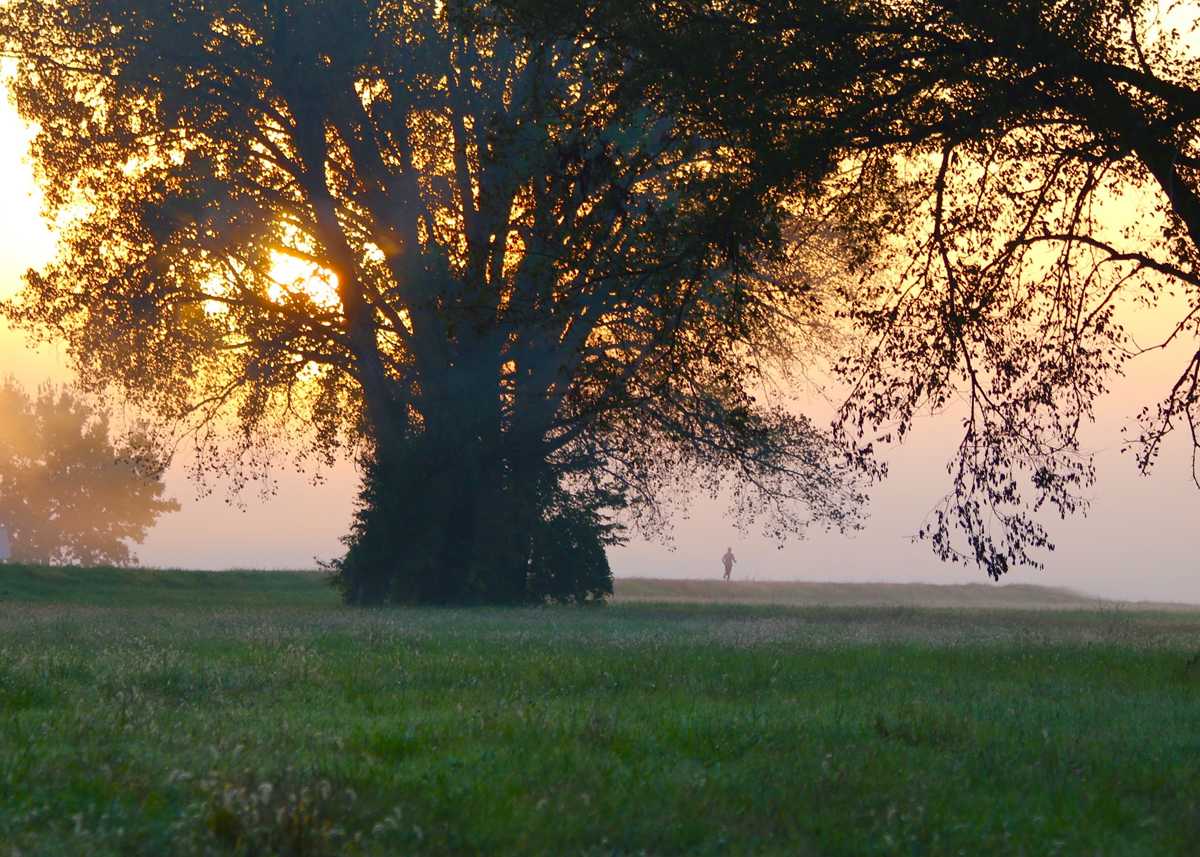 Dee Budden photo: the hazy morning on the levee.