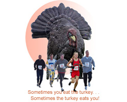 Turkey chasing runners 5K artwork