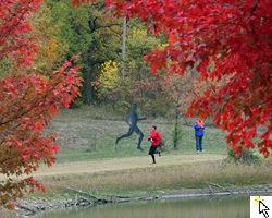 Photo from the Dr Bob Run at Rimrock Farm.