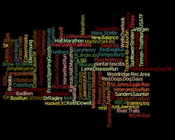 Wordle word cloud